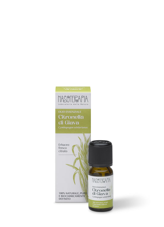 Citronella di Giava