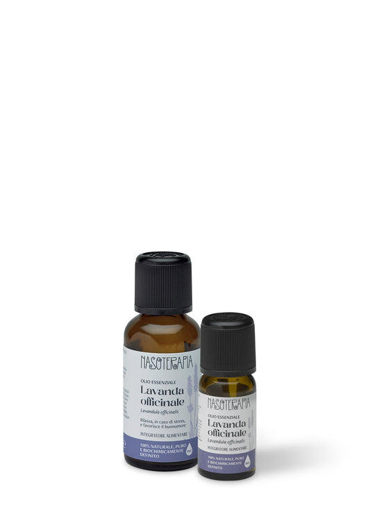 Lavanda Officinale